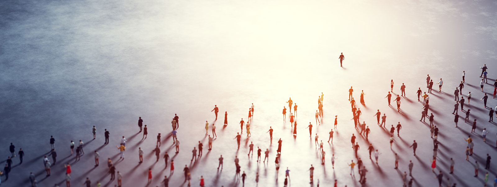 Sikkim Manipal University